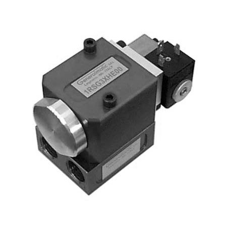 Valvole ad Otturatore - Poppet Valves - 1RSG Series