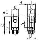 Forcella femmina