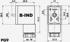 Forma B_IND