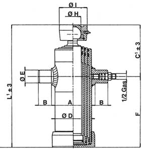 Cilindro idraulico GMHTES